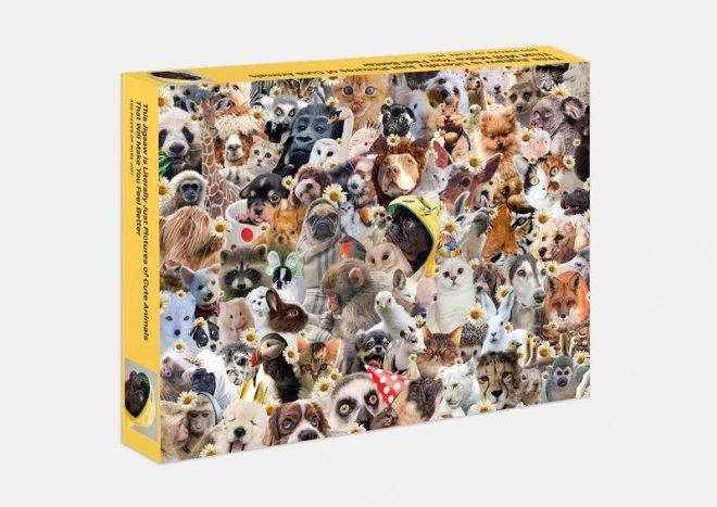 Galison Puzzle Fröhliche Tiere 500 Teile