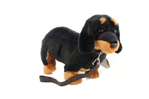 Plüsch-Dackel 36 cm mit Leine
