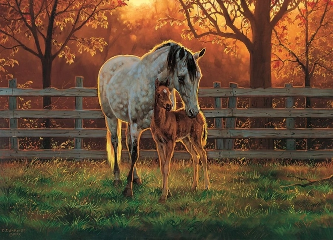 Puzzle COBBLE HILL Stille 500 Teile