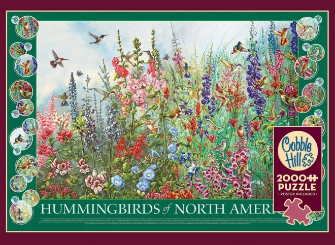 Puzzle Kolibris Nordamerikas 2000 Teile von Cobble Hill