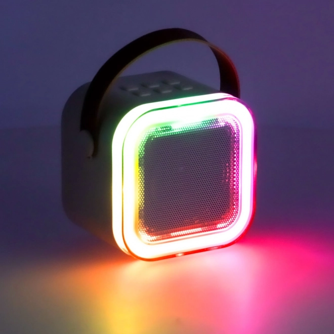Karaoke-Set mit 2 Mikrofonen und Bluetooth-LED-Lautsprecher