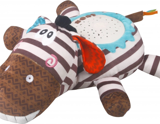Projektor Zebra mit Musik