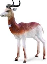 Collecta Wanderalbatros – realistische Figur