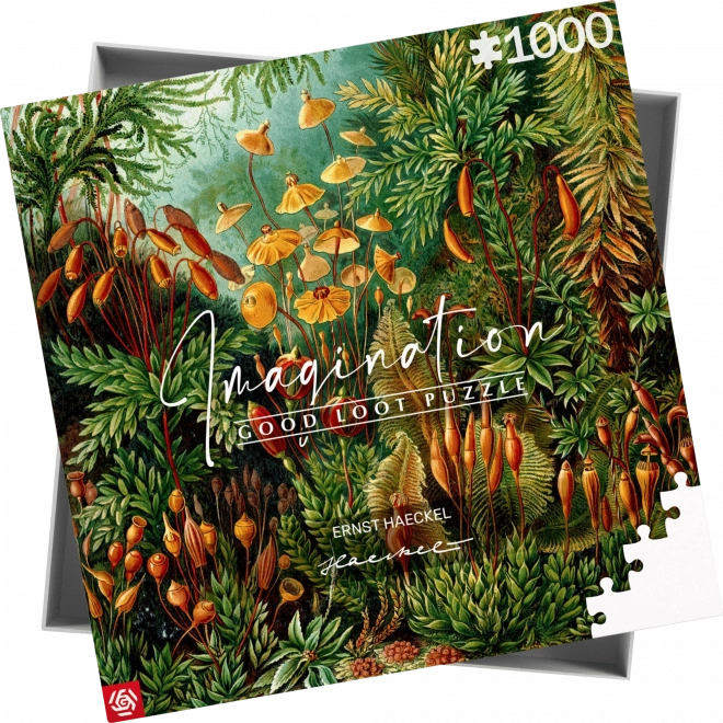 Good Loot Puzzle Imagination: Ernst Haeckel - Muscinae 1000 Teile