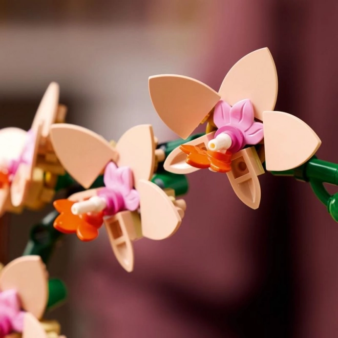 Lego Botanicals kleine Orchidee