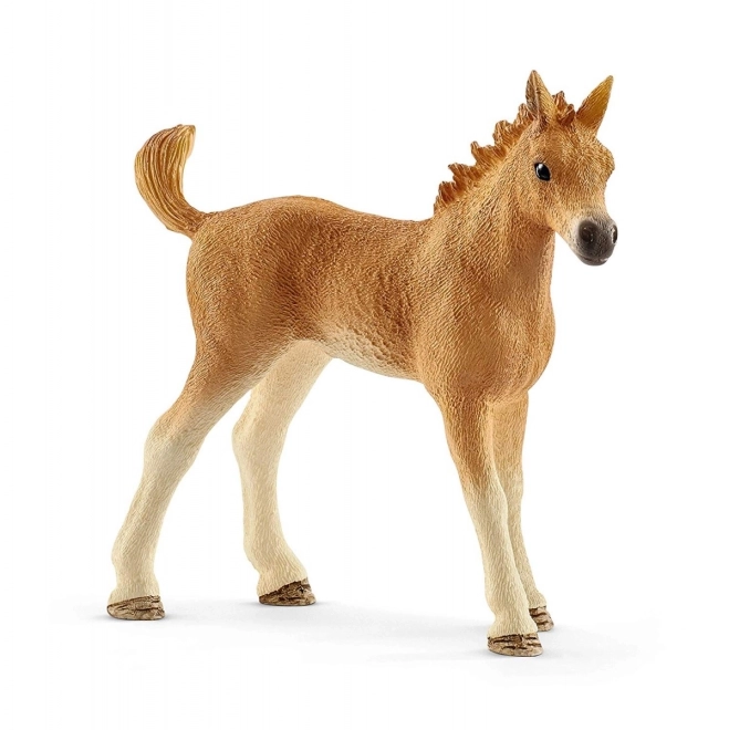 Schleich Horse Club Set: Fohlen und Quarter Horse mit Welpen und Zubehör