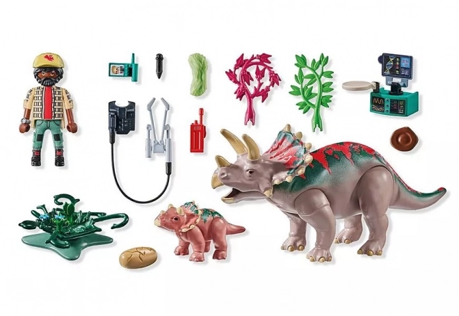 PLAYMOBIL Triceratops Figuren-Set