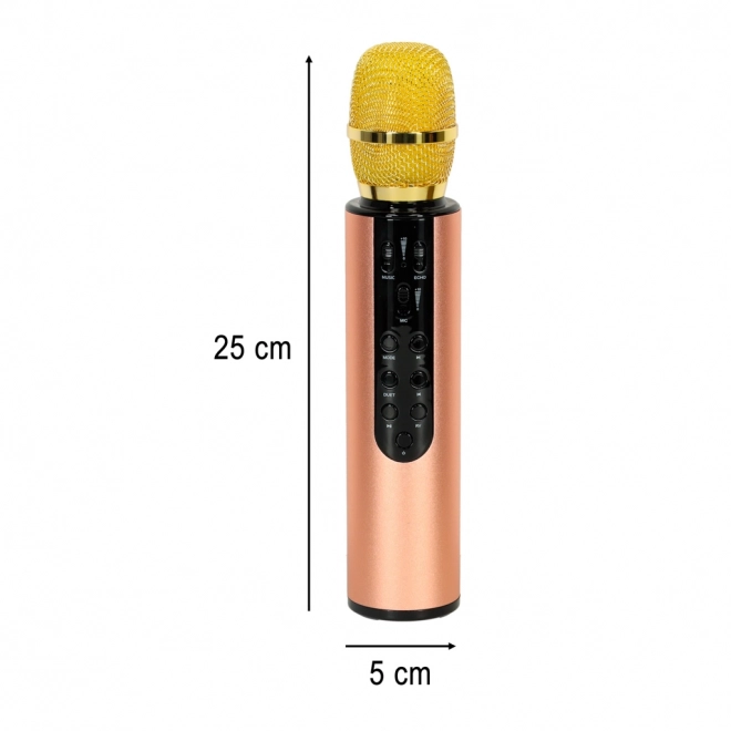 Karaoke drahtloses Bluetooth-Mikrofon schwarz – Gold