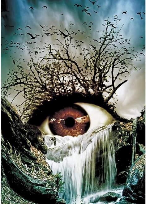 Diamantmalerei Auge