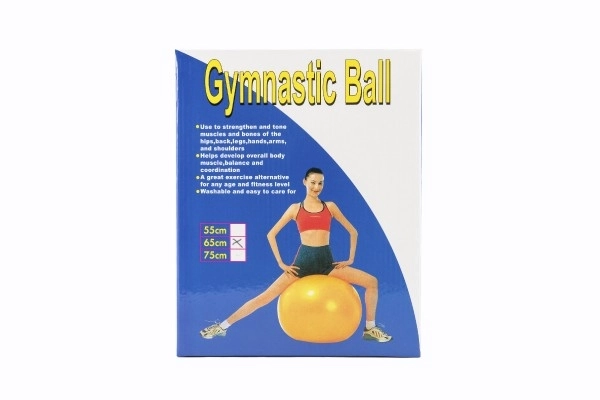 Rehabilitation Gymnastikball 65cm