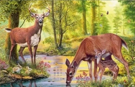 Diamantmalerei - Hirsche am Bach