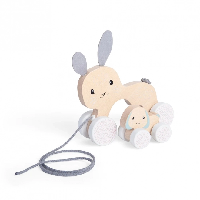 Bigjigs Toys Nachzieh-Hase mit Baby