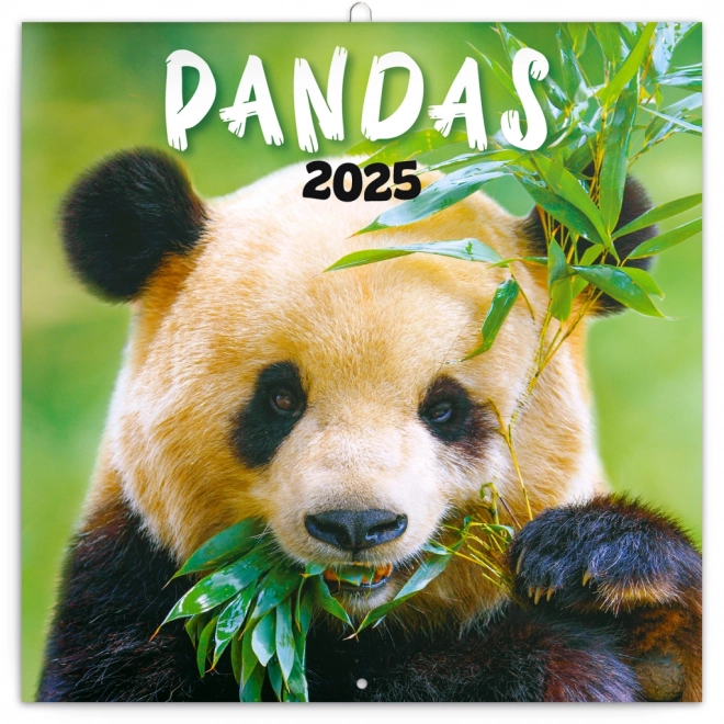 Notique Notizkalender PANDAS 2025