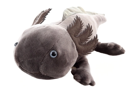 Plüsch Axolotl Umweltfreundlich 32 cm
