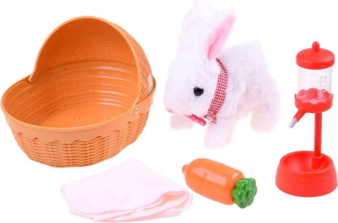 Alles für die Tierpflege in einem Set