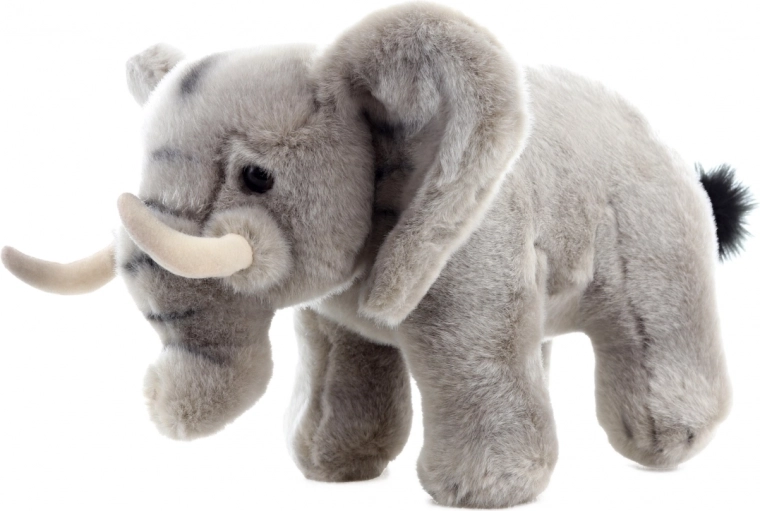 Realistisches Design