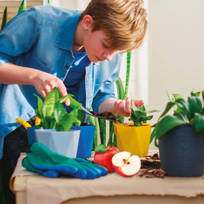 Wissenschaftsset Botanikwissen für Kinder