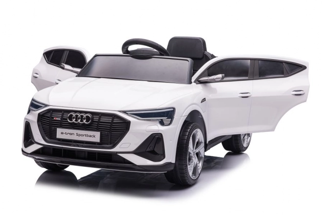 Audi E-Tron Autobatterie Weiß QLS-6688