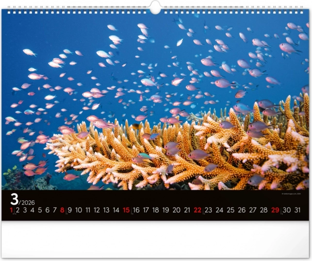 Wandkalender Unterwasserwelt 2026