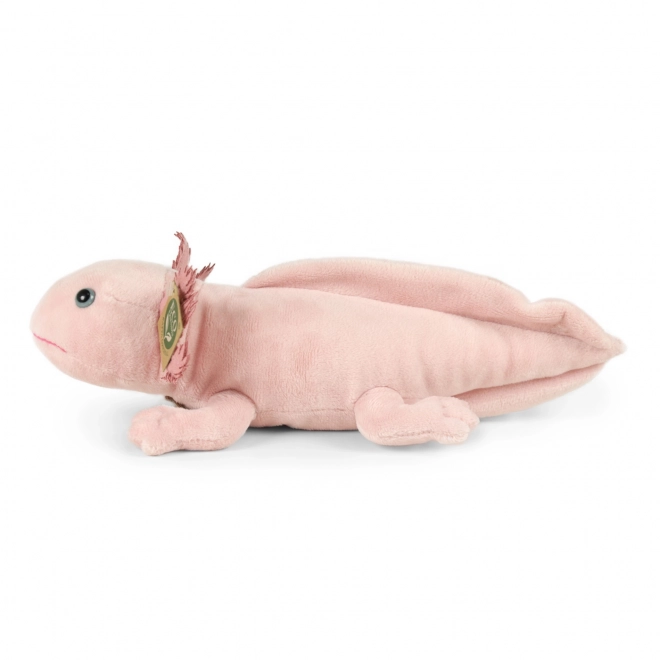 Öko-freundlicher Plüsch-Axolotl 33 cm