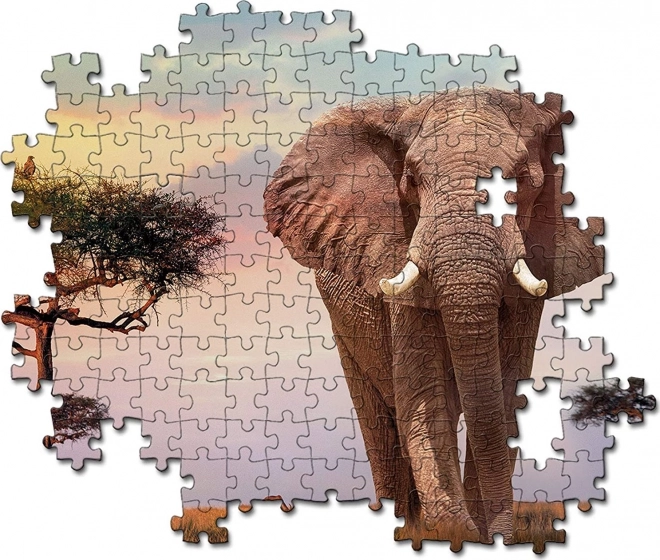 Puzzle Afrikanischer Sonnenuntergang 500 Teile