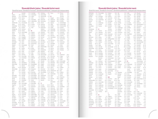 Tageskalender NEO 2025 in Violett