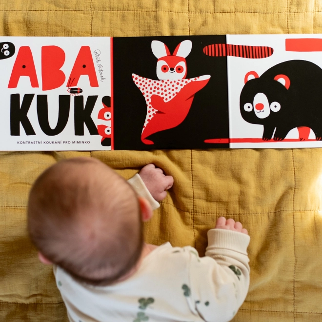 Ababu Kontrast-Bilderbuch für Babys mit Illustrationen von Patrik Antczak