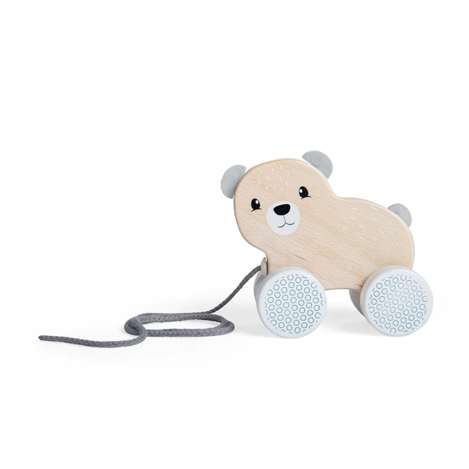 Bigjigs Toys Ziehbarer Teddybär