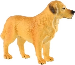 Kompakte Größe 10 cm