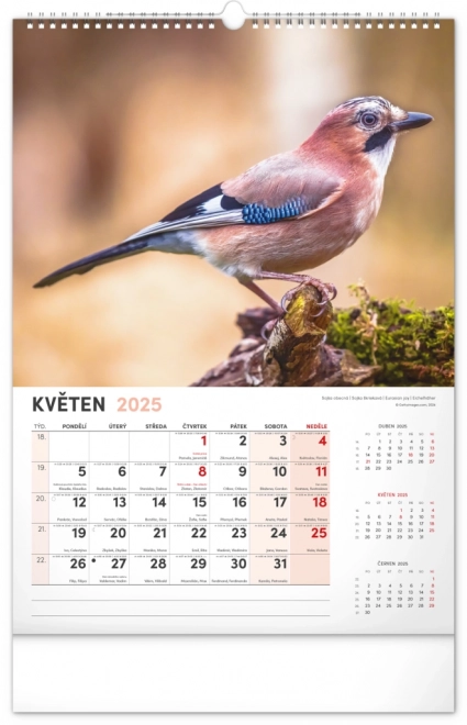 Wandkalender Jagd 2025