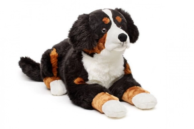 Plüsch Berner Sennenhund 65 cm