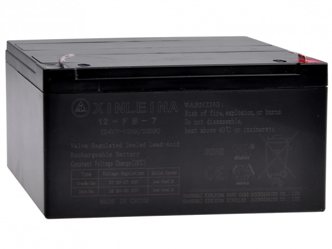 AGM Batterie 24V 10Ah