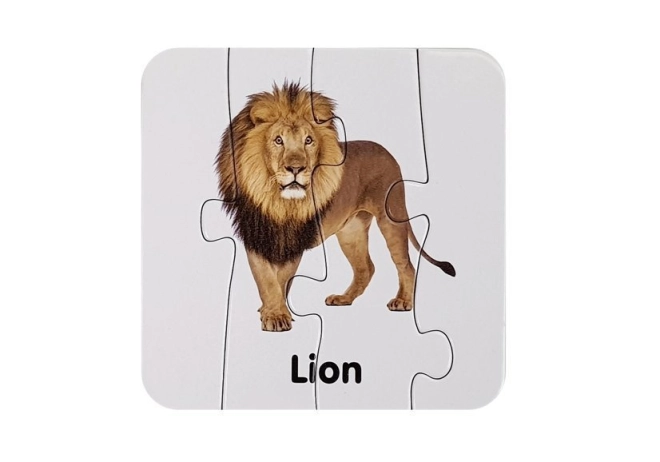 Realistische Illustrationen von Wildtieren