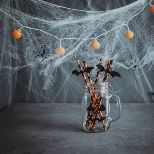 Halloween Spinnennetz mit 2 Spinnen