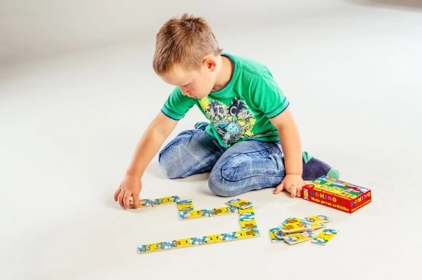 Mein Erstes Domino Tiere Holzspiel