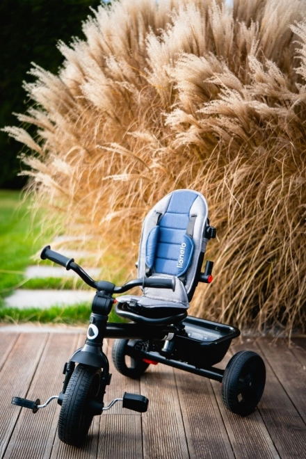 Wandelbarer Dreirad Buggy Lionelo Haari