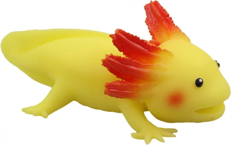 Detaillierte Ausarbeitung des Axolotls