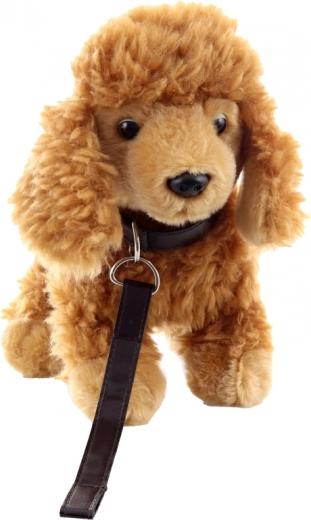 Sicher und geeignet ab 0+