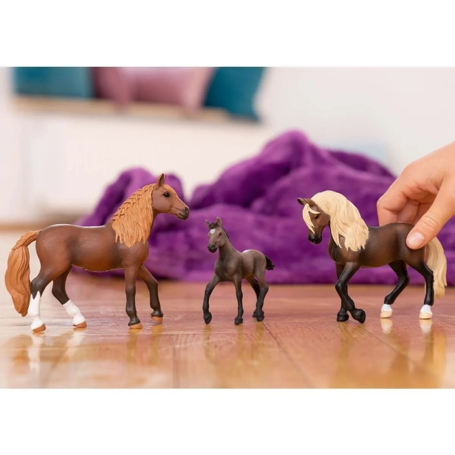 Teil der Welt von HORSE CLUB