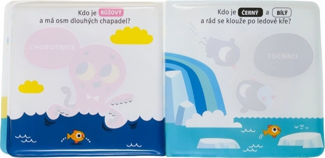Kleine Zauberwasserbuch: Der kleine Fisch von Svojtka & Co.
