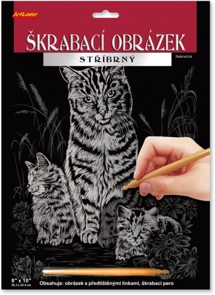 Silbernes Kratzbild A4 23x32cm 3 Arten