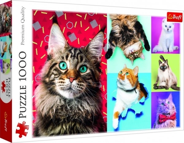 Puzzle Lustige Katzen 1000 Teile