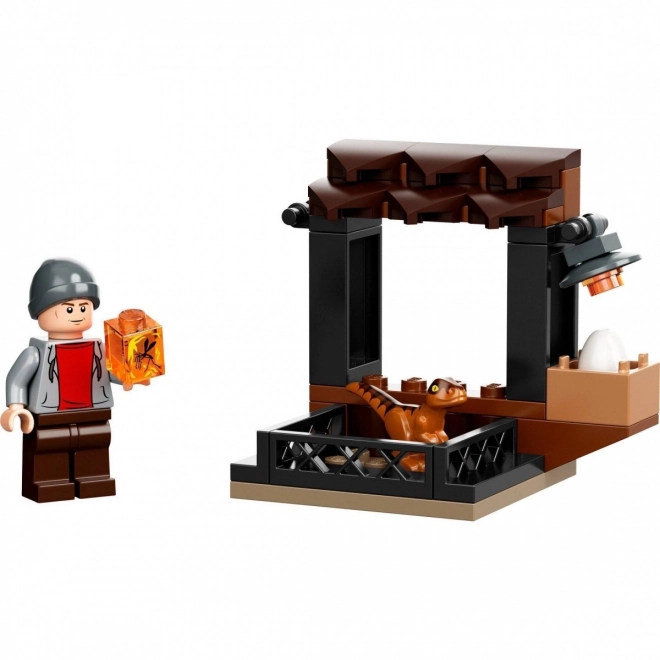 Dinosauriermarkt LEGO Jurassic World Set