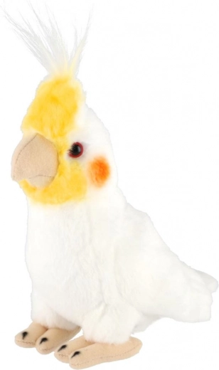 Realistische Details des Nymphensittichs