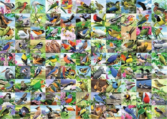 Ravensburger Puzzle 99 Zauberhafte Vögel 300 Teile