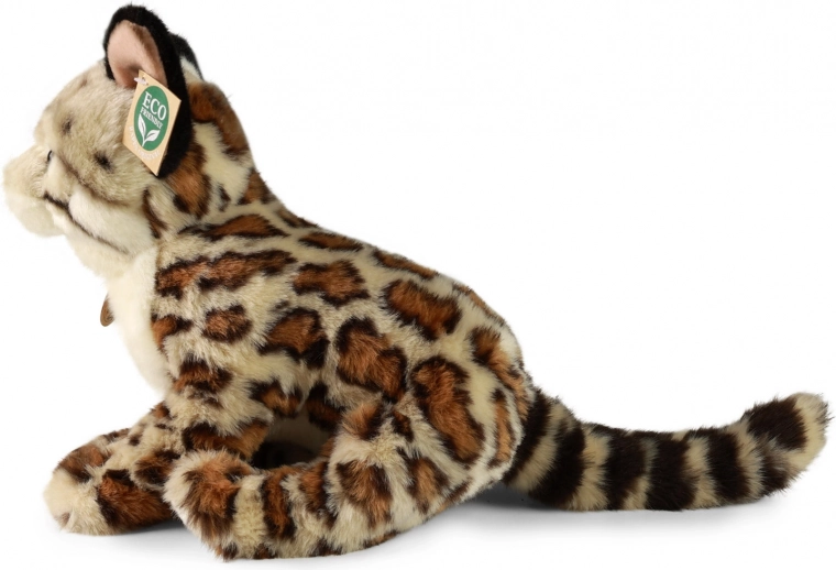 Realistisches Design