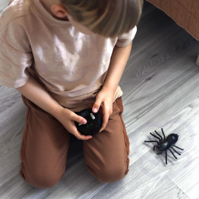 Interaktive ferngesteuerte Spinne