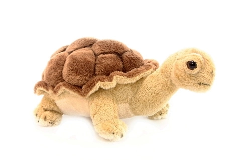 Plüsch Schildkröte 20 cm