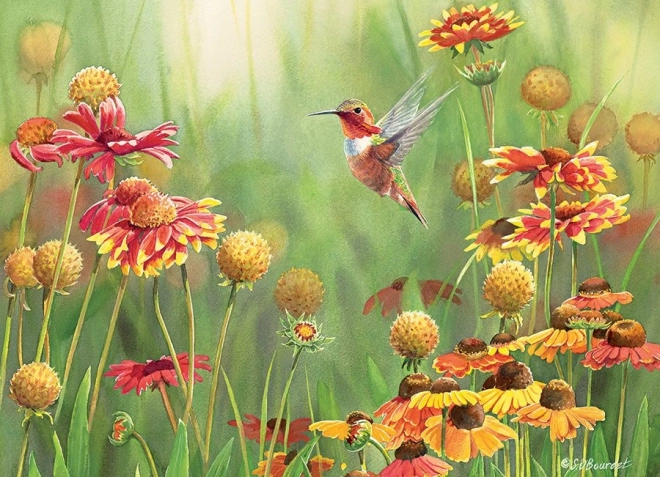 Puzzle Kolibris 500 Teile COBBLE HILL