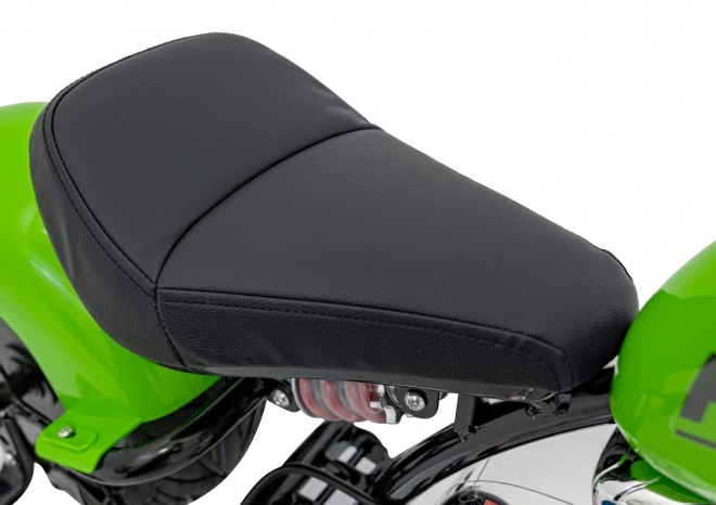 Chopper Warrior Grünes Motorrad